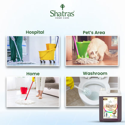 Best Phynel floor tiles for home