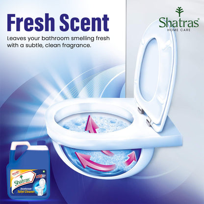 Toilet cleaner for home