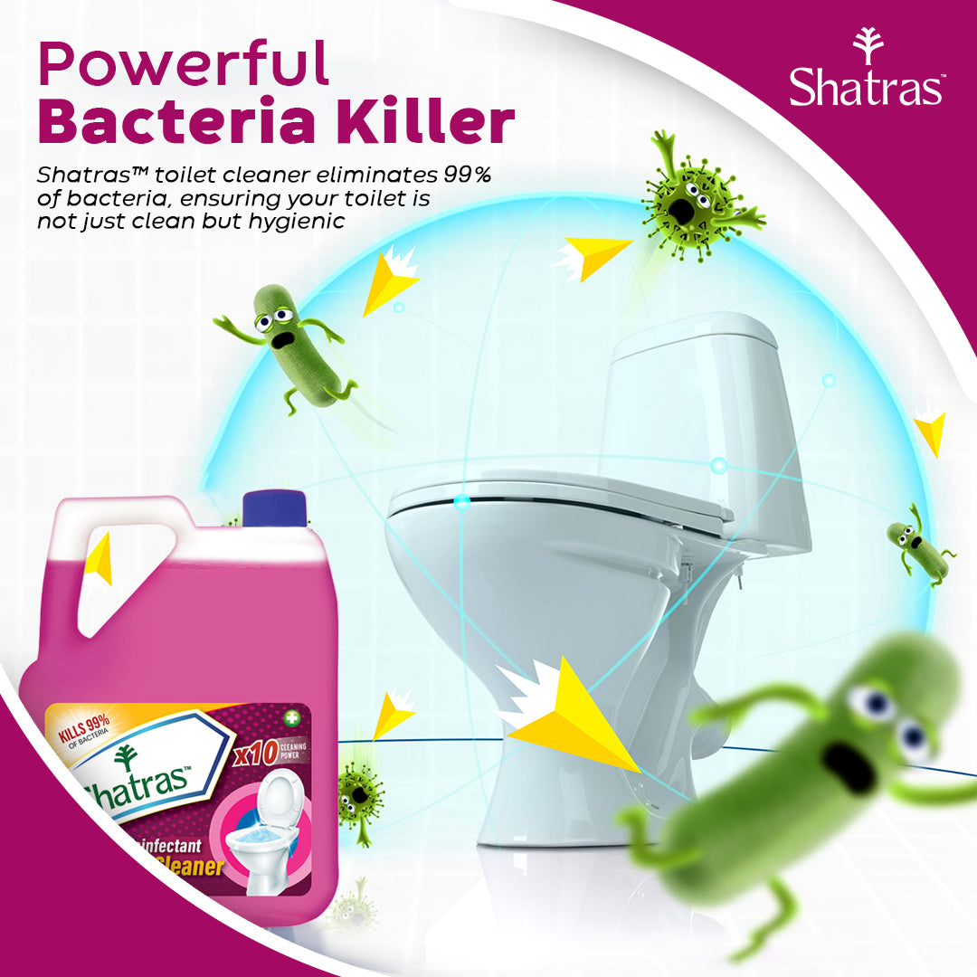 Flushable toilet cleaner