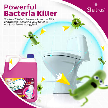 Flushable toilet cleaner